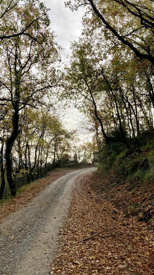 Гостевой дом La Fonte Di Gaiche Piegaro  Экстерьер фото